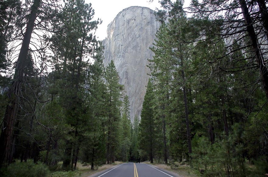 12. Yosemite