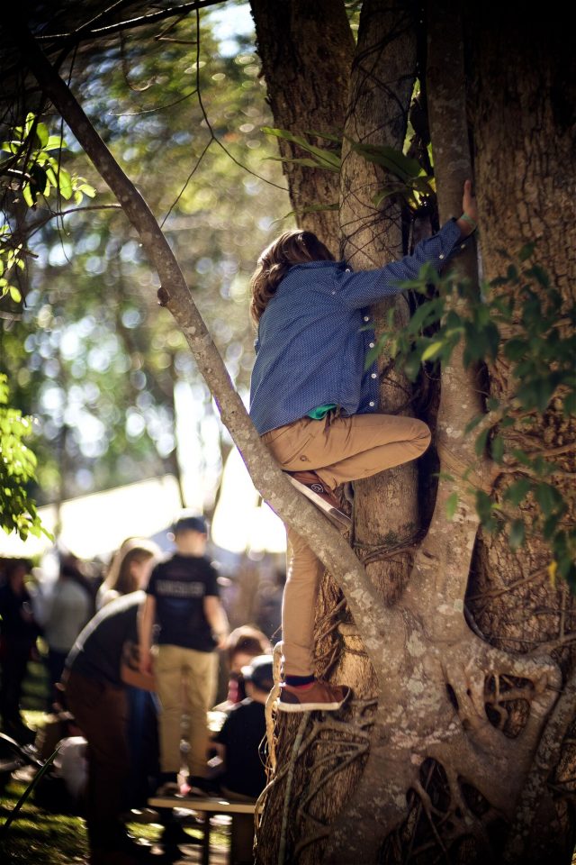 Tree climber by Alex Clarke